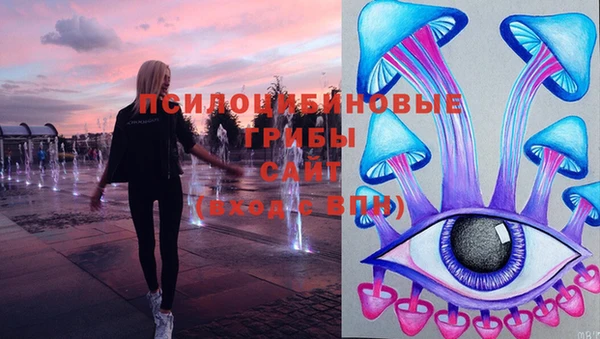 бошки Красноперекопск